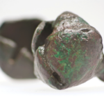 Frühzeitliche Schelle,  Archäologisches Landesmuseum Brandenburg